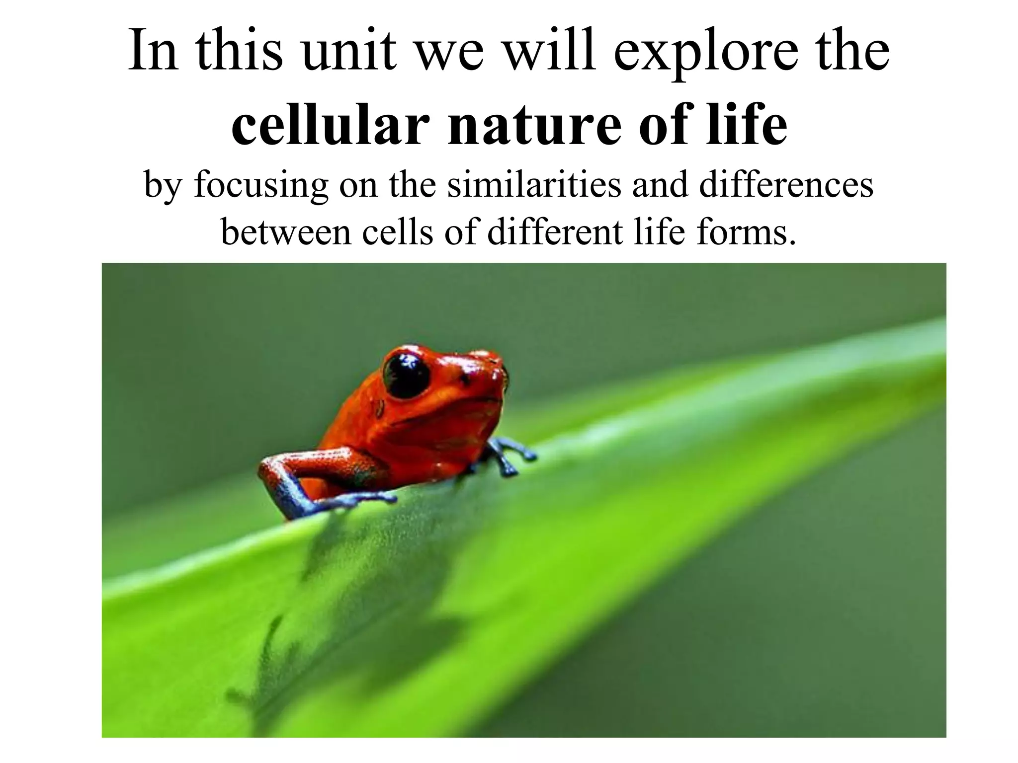 In this unit we will explore the
     cellular nature of life
by focusing on the similarities and differences
     between cells of different life forms.
 