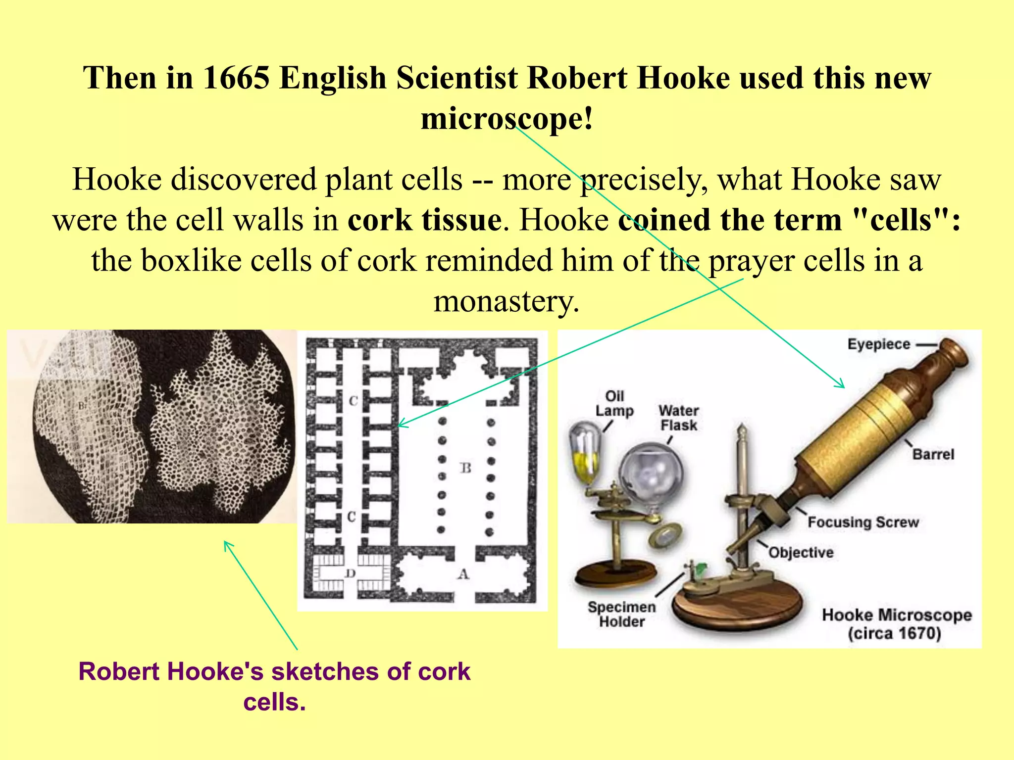 Then in 1665 English Scientist Robert Hooke used this new
                        microscope!
 Hooke discovered plant cells -- more precisely, what Hooke saw
were the cell walls in cork tissue. Hooke coined the term "cells":
  the boxlike cells of cork reminded him of the prayer cells in a
                             monastery.




 Robert Hooke's sketches of cork
             cells.
 