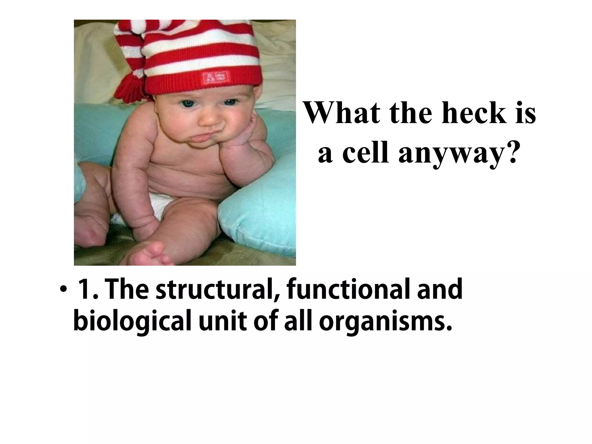 What the heck is
a cell anyway?
 