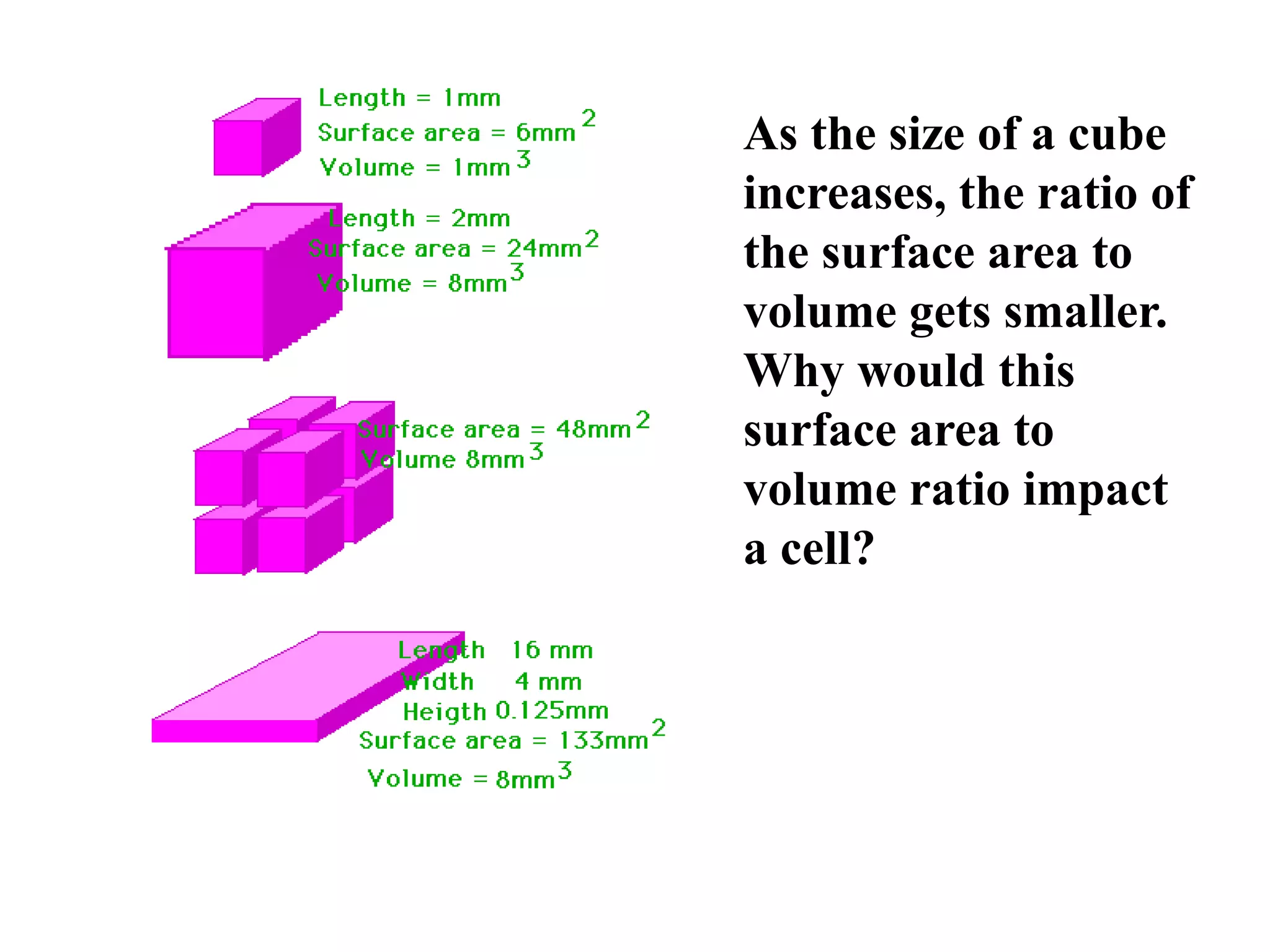 As the size of a cube
increases, the ratio of
the surface area to
volume gets smaller.
Why would this
surface area to
volume ratio impact
a cell?
 