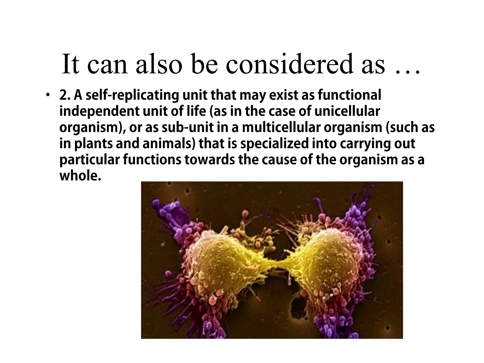 It can also be considered as …
 