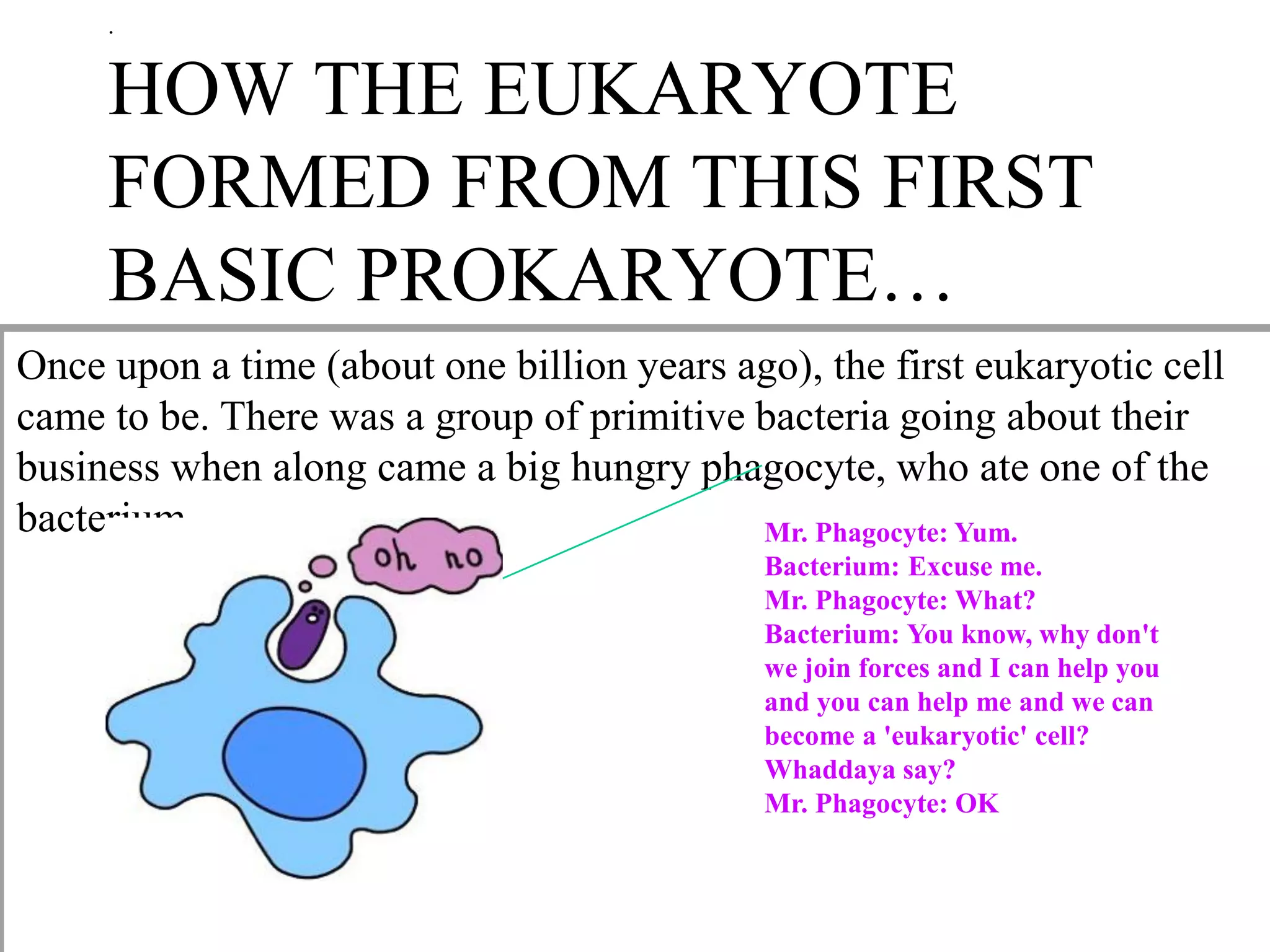 .


     HOW THE EUKARYOTE
     FORMED FROM THIS FIRST
     BASIC PROKARYOTE…
Once upon a time (about one billion years ago), the first eukaryotic cell
came to be. There was a group of primitive bacteria going about their
business when along came a big hungry phagocyte, who ate one of the
bacterium.                                 Mr. Phagocyte: Yum.
                                             Bacterium: Excuse me.
                                             Mr. Phagocyte: What?
                                             Bacterium: You know, why don't
                                             we join forces and I can help you
                                             and you can help me and we can
                                             become a 'eukaryotic' cell?
                                             Whaddaya say?
                                             Mr. Phagocyte: OK
 