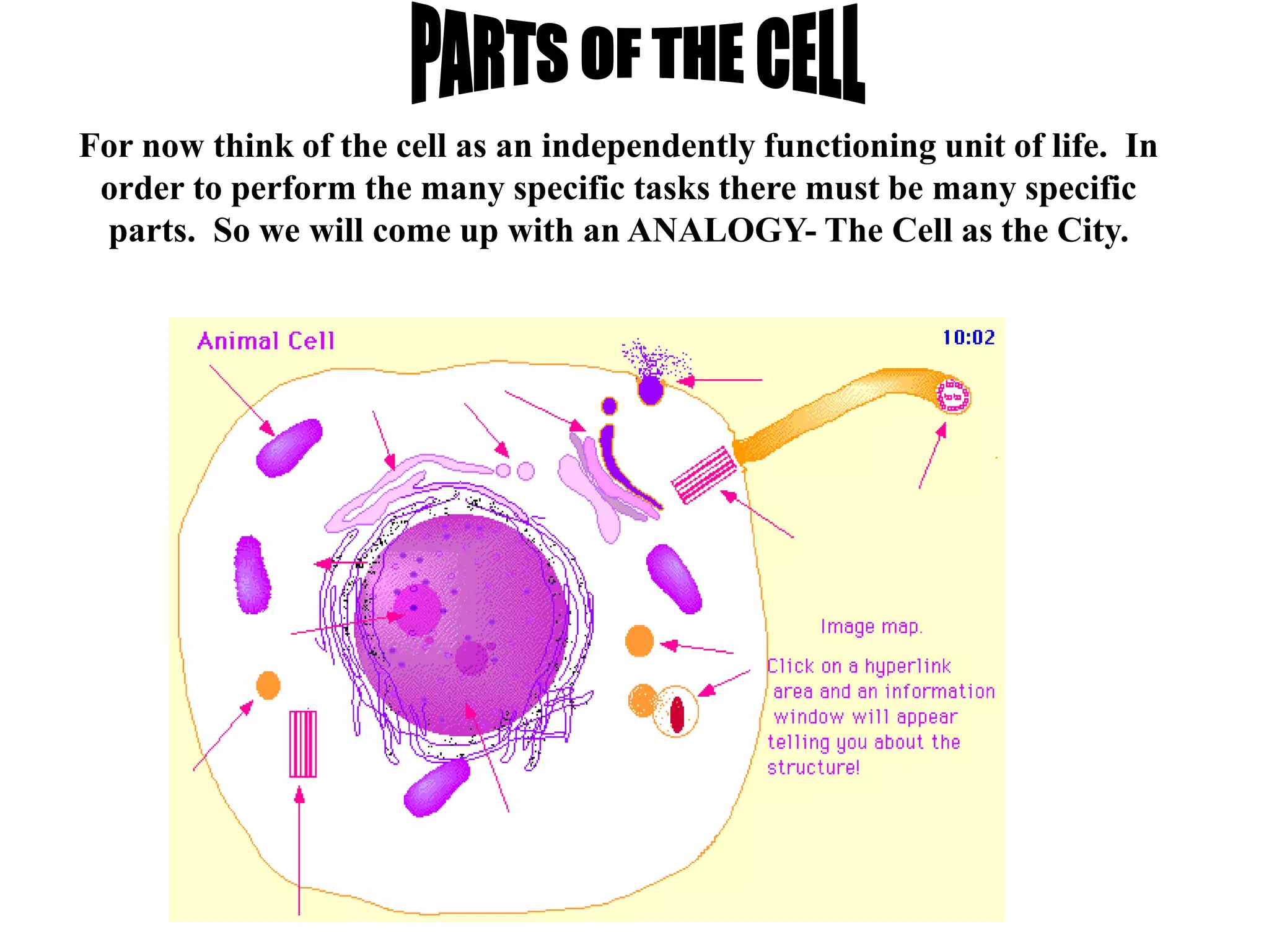 For now think of the cell as an independently functioning unit of life. In
 order to perform the many specific tasks there must be many specific
 parts. So we will come up with an ANALOGY- The Cell as the City.
 