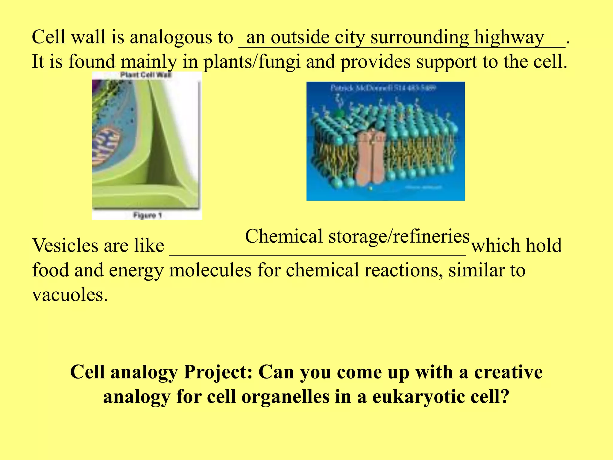 Cell wall is analogous to ________________________________.
                           an outside city surrounding highway
It is found mainly in plants/fungi and provides support to the cell.




                         Chemical storage/refineries
Vesicles are like _____________________________ which hold
food and energy molecules for chemical reactions, similar to
vacuoles.


    Cell analogy Project: Can you come up with a creative
        analogy for cell organelles in a eukaryotic cell?
 