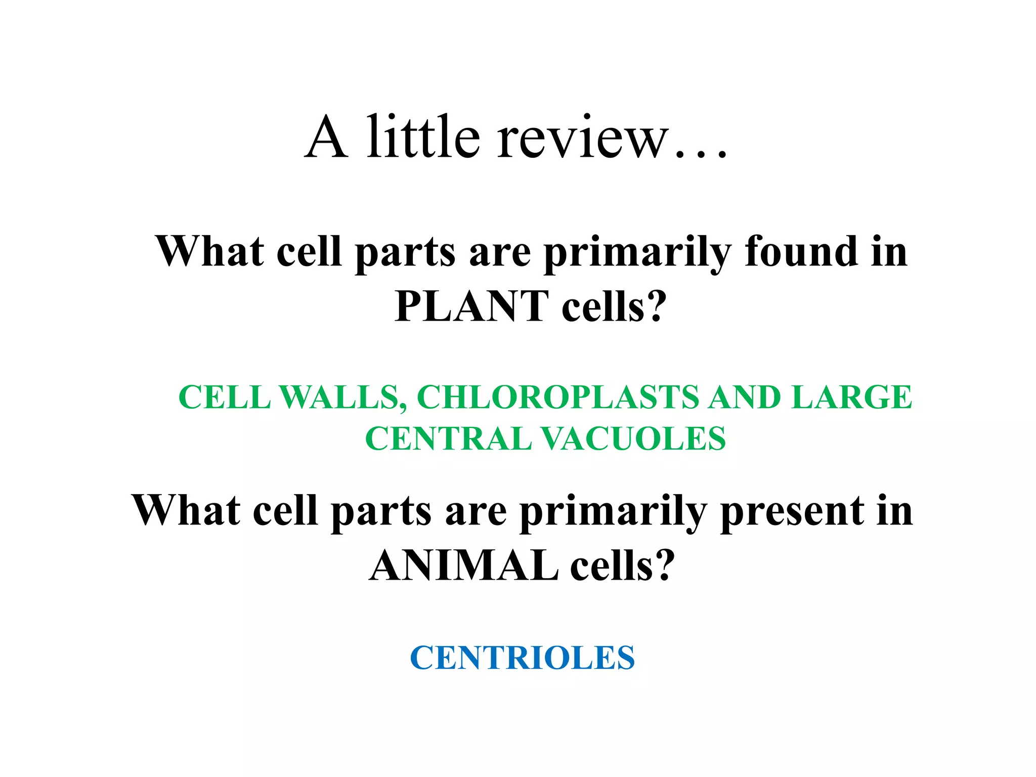 A little review…
 What cell parts are primarily found in
             PLANT cells?
  CELL WALLS, CHLOROPLASTS AND LARGE
          CENTRAL VACUOLES

What cell parts are primarily present in
            ANIMAL cells?
              CENTRIOLES
 