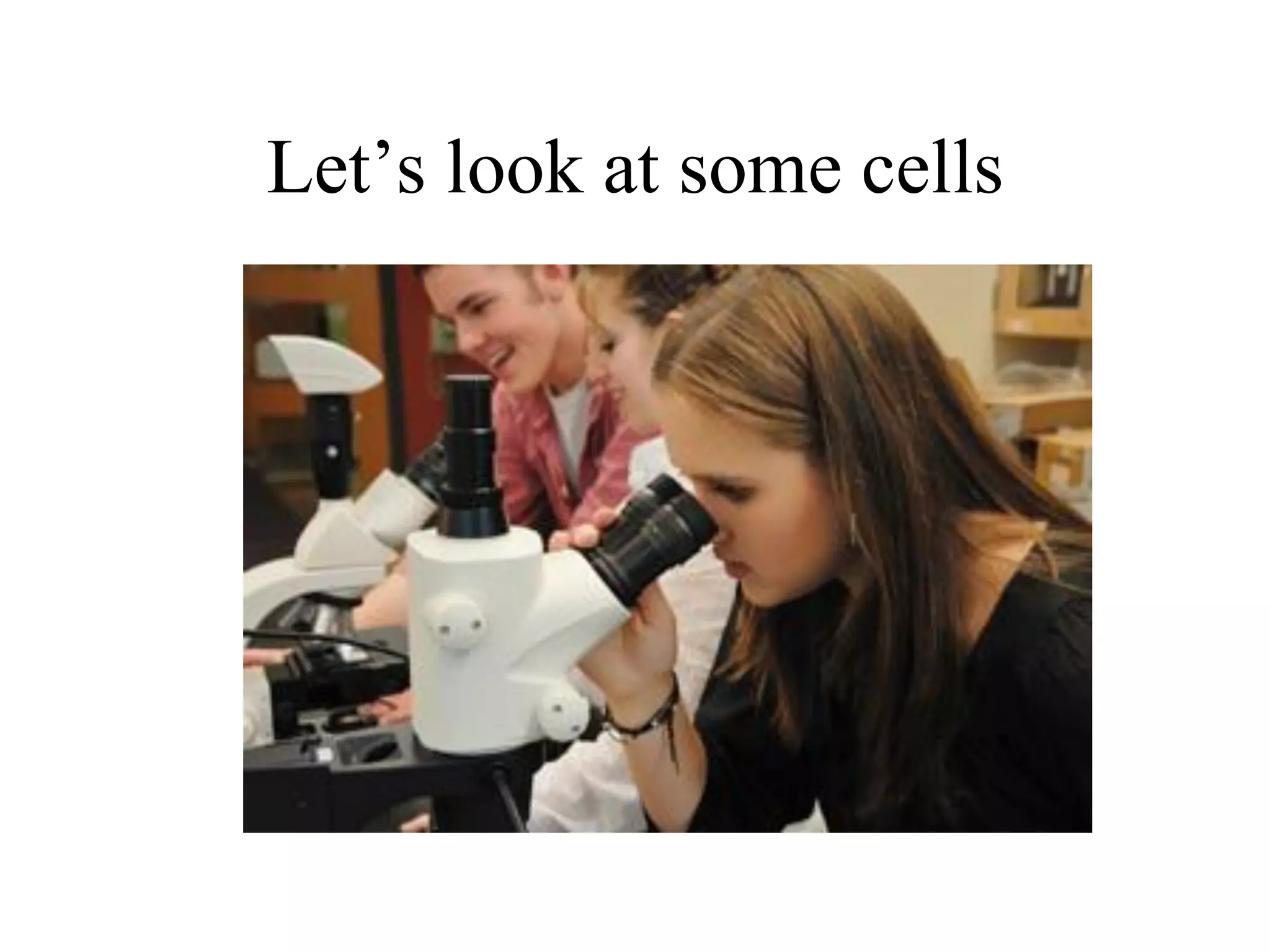 Let’s look at some cells
 