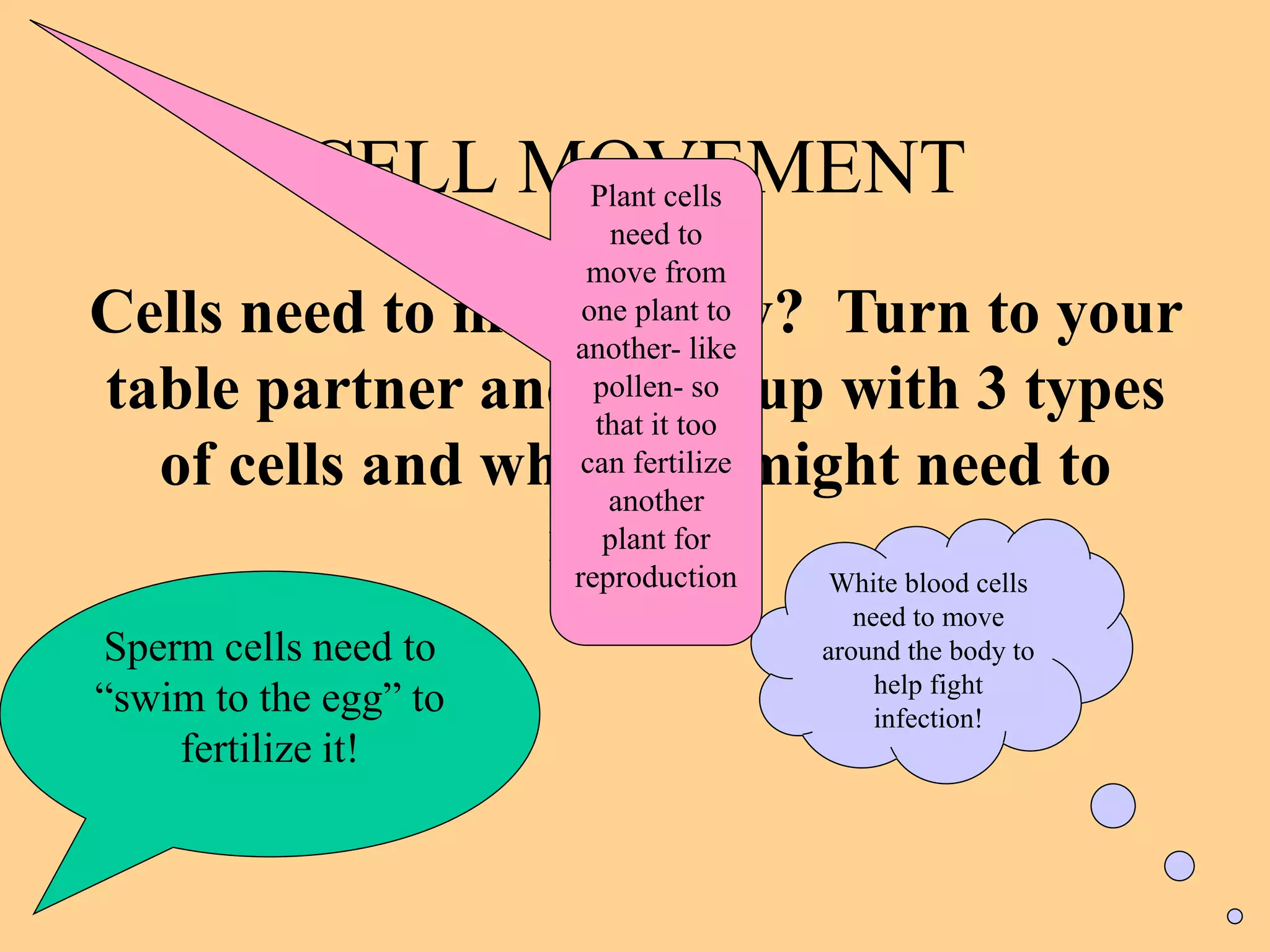 CELL MOVEMENT
                 Plant cells
                          need to
                        move from
Cells need to move. Why? Turn to your
                        one plant to
                       another- like
table partner and come up with 3 types
                         pollen- so
                         that it too
  of cells and why they might need to
                        can fertilize
                          another
                 move?    plant for
                       reproduction
                           White blood cells
                                           need to move
Sperm cells need to                     around the body to
“swim to the egg” to                         help fight
                                             infection!
    fertilize it!
 