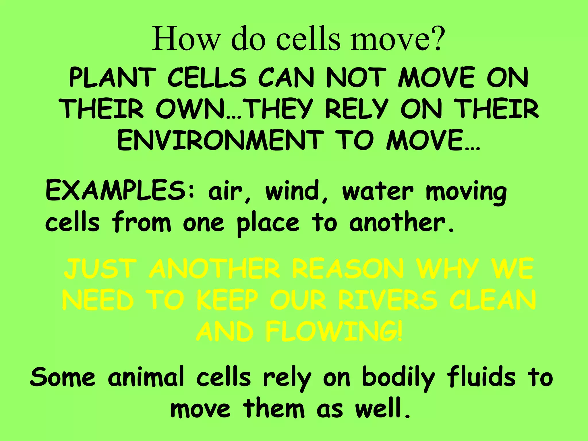 How do cells move?
   PLANT CELLS CAN NOT MOVE ON
  THEIR OWN…THEY RELY ON THEIR
      ENVIRONMENT TO MOVE…
 EXAMPLES: air, wind, water moving
 cells from one place to another.
  JUST ANOTHER REASON WHY WE
  NEED TO KEEP OUR RIVERS CLEAN
          AND FLOWING!
Some animal cells rely on bodily fluids to
         move them as well.
 