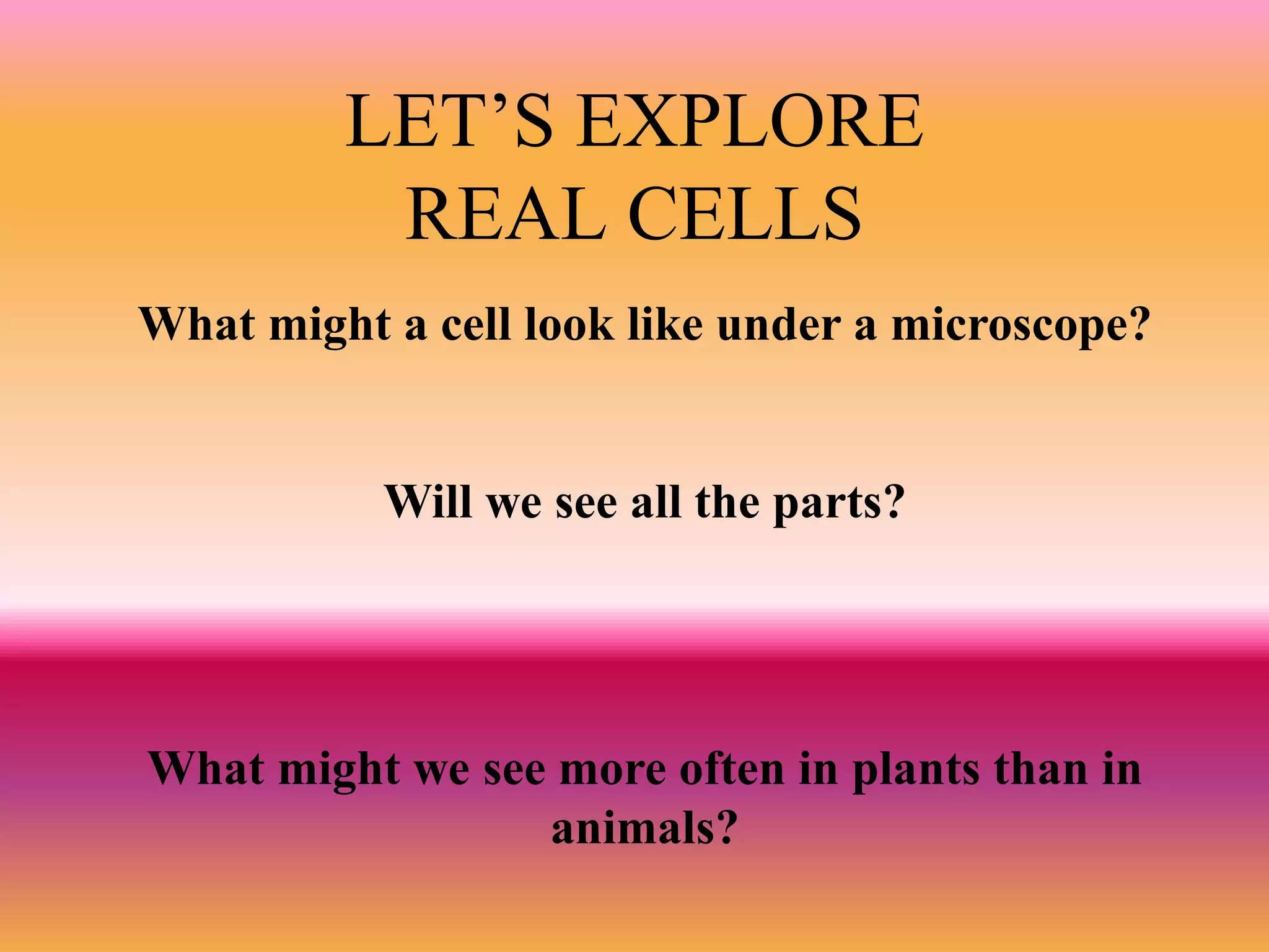 LET’S EXPLORE
          REAL CELLS
What might a cell look like under a microscope?


           Will we see all the parts?




What might we see more often in plants than in
                 animals?
 