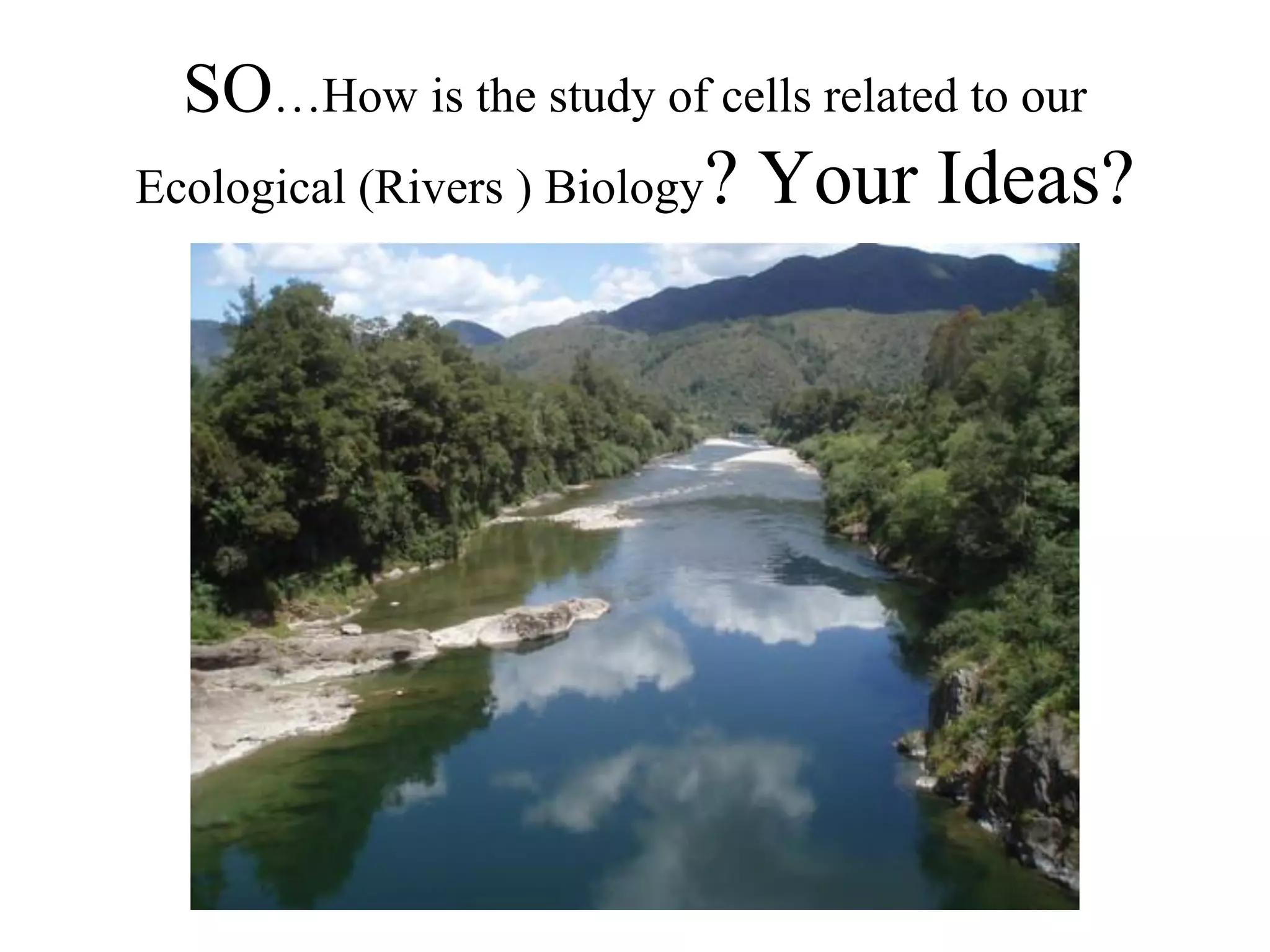 SO…How is the study of cells related to our
Ecological (Rivers ) Biology?   Your Ideas?
 