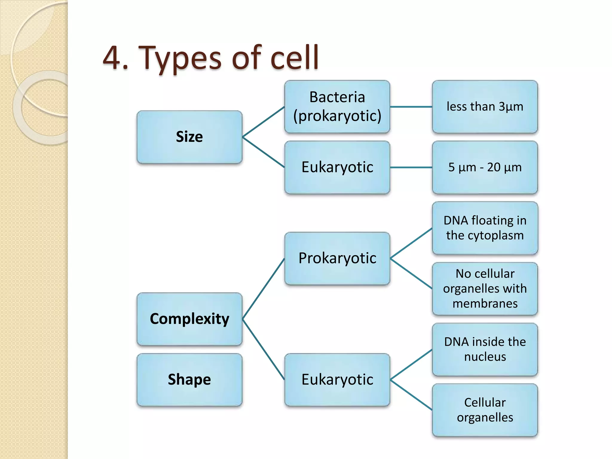 4. Types of cell
Size
Bacteria
(prokaryotic)
less than 3µm
Eukaryotic 5 µm - 20 µm
Complexity
Prokaryotic
DNA floating in
the cytoplasm
No cellular
organelles with
membranes
Eukaryotic
DNA inside the
nucleus
Cellular
organelles
Shape
 