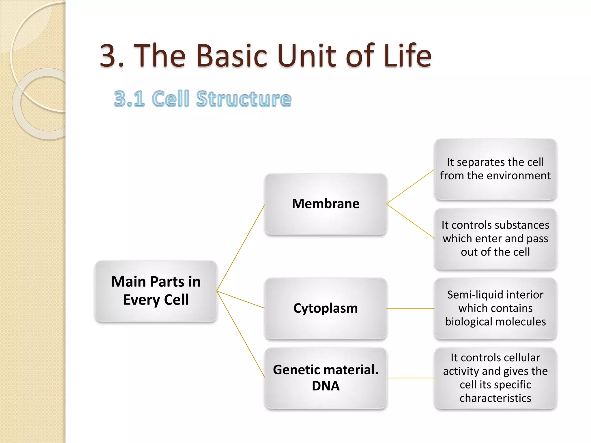 3. The Basic Unit of Life
Main Parts in
Every Cell
Membrane
It separates the cell
from the environment
It controls substances
which enter and pass
out of the cell
Cytoplasm
Semi-liquid interior
which contains
biological molecules
Genetic material.
DNA
It controls cellular
activity and gives the
cell its specific
characteristics
 