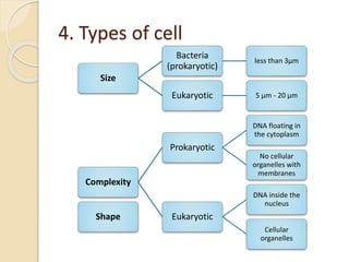 4. Types of cell
Size
Bacteria
(prokaryotic)
less than 3µm
Eukaryotic 5 µm - 20 µm
Complexity
Prokaryotic
DNA floating in
the cytoplasm
No cellular
organelles with
membranes
Eukaryotic
DNA inside the
nucleus
Cellular
organelles
Shape
 
