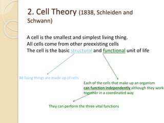 2. Cell Theory (1838, Schleiden and
Schwann)
A cell is the smallest and simplest living thing.
All cells come from other preexisting cells
The cell is the basic structural and functional unit of life
All living things are made up of cells
Each of the cells that make up an organism
can function independently although they work
together in a coordinated way
They can perform the three vital functions
 