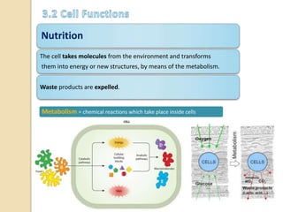 Nutrition
The cell takes molecules from the environment and transforms
them into energy or new structures, by means of the metabolism.
Waste products are expelled.
Metabolism = chemical reactions which take place inside cells
 