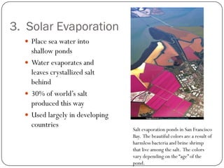 3. Solar Evaporation
   Place sea water into
    shallow ponds
   Water evaporates and
    leaves crystallized salt
    behind
   30% of world’s salt
    produced this way
   Used largely in developing
    countries
                                 Salt evaporation ponds in San Francisco
                                 Bay. The beautiful colors are a result of
                                 harmless bacteria and brine shrimp
                                 that live among the salt. The colors
                                 vary depending on the “age” of the
                                 pond.
 
