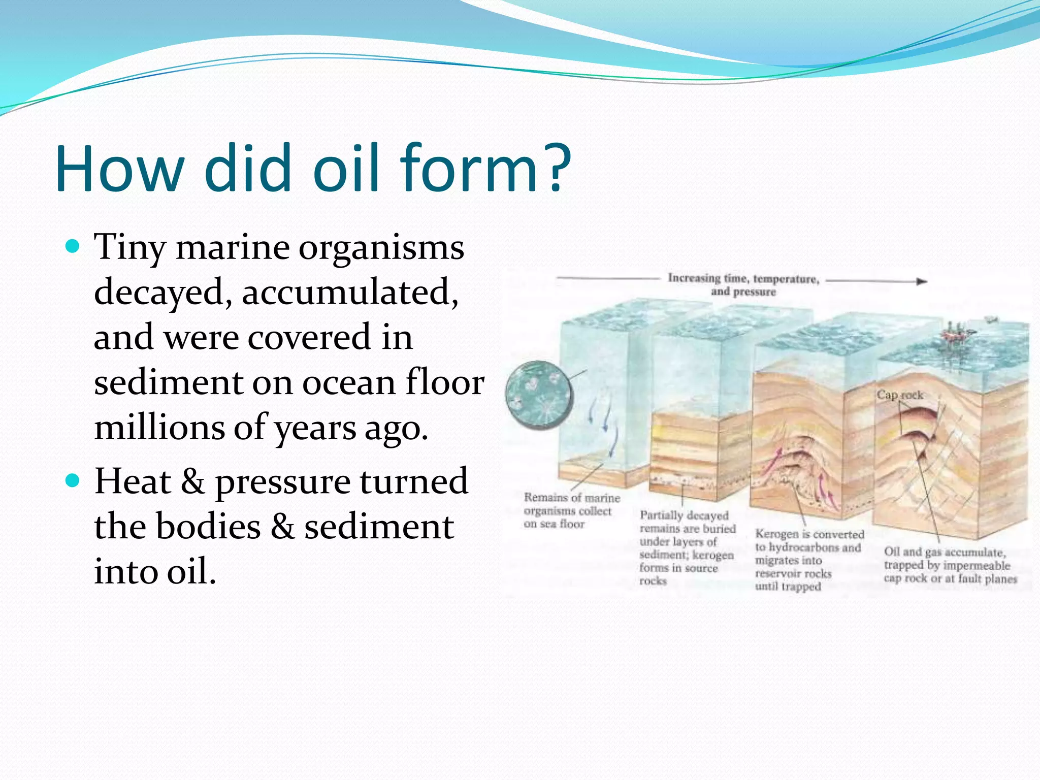 How did oil form?
 Tiny marine organisms
  decayed, accumulated,
  and were covered in
  sediment on ocean floor
  millions of years ago.
 Heat & pressure turned
  the bodies & sediment
  into oil.
 