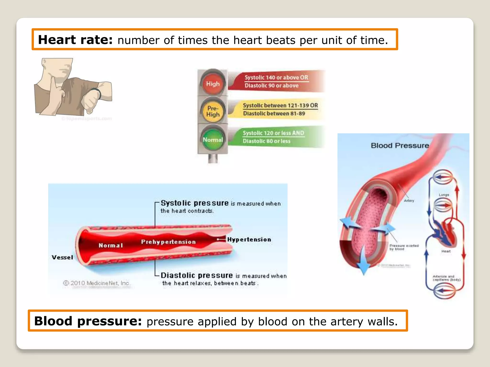 Heart rate: number of times the heart beats per unit of time.
Blood pressure: pressure applied by blood on the artery walls.
 