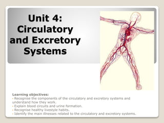Unit 4:
Circulatory
and Excretory
Systems
Learning objectives:
• Recognise the components of the circulatory and excretory systems and
understand how they work.
• Explain blood circuits and urine formation.
• Recognise healthy livestyle habits.
• Identify the main illnesses related to the circulatory and excretory systems.
 