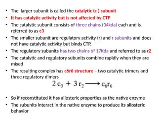 • The larger subunit is called the catalytic (c ) subunit
• It has catalytic activity but is not affected by CTP
• The catalytic subunit consists of three chains (34kda) each and is
referred to as c3
• The smaller subunit are regulatory activity (r) and r subunits and does
not have catalytic activity but binds CTP.
• The regulatory subunits has two chains of 17Kda and referred to as r2
• The catalytic and regulatory subunits combine rapidly when they are
mixed
• The resulting complex has c6r6 structure – two catalytic trimers and
three regulatory dimers
• So if reconstituted it has allosteric properties as the native enzyme
• The subunits interact in the native enzyme to produce its allosteric
behavior
 