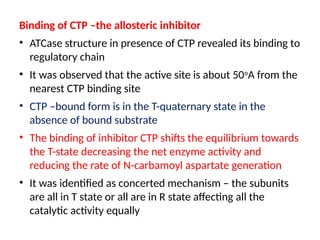 Binding of CTP –the allosteric inhibitor
• ATCase structure in presence of CTP revealed its binding to
regulatory chain
• It was observed that the active site is about 50o
A from the
nearest CTP binding site
• CTP –bound form is in the T-quaternary state in the
absence of bound substrate
• The binding of inhibitor CTP shifts the equilibrium towards
the T-state decreasing the net enzyme activity and
reducing the rate of N-carbamoyl aspartate generation
• It was identified as concerted mechanism – the subunits
are all in T state or all are in R state affecting all the
catalytic activity equally
 