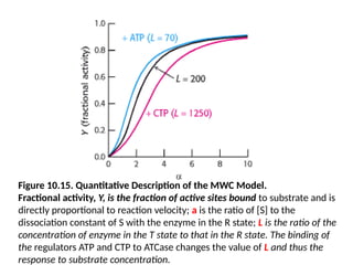 Figure 10.15. Quantitative Description of the MWC Model.
Fractional activity, Y, is the fraction of active sites bound to substrate and is
directly proportional to reaction velocity; a is the ratio of [S] to the
dissociation constant of S with the enzyme in the R state; L is the ratio of the
concentration of enzyme in the T state to that in the R state. The binding of
the regulators ATP and CTP to ATCase changes the value of L and thus the
response to substrate concentration.
 