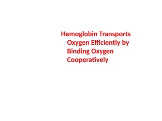 Hemoglobin Transports
Oxygen Efficiently by
Binding Oxygen
Cooperatively
 