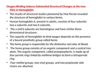 Oxygen Binding Induces Substantial Structural Changes at the Iron
Sites in Hemoglobin
• The results of structural studies pioneered by Max Perutz revealed
the structure of hemoglobin in various forms.
• Human hemoglobin A, present in adults, consists of four subunits:
two a subunits and two b subunits.
• The a and b subunits are homologous and have similar three-
dimensional structures .
• The capacity of hemoglobin to bind oxygen depends on the presence
of a bound prosthetic group called heme.
• The heme group is responsible for the distinctive red color of blood.
• The heme group consists of an organic component and a central iron
atom. The organic component, called protoporphyrin, is made up of
four pyrrole rings linked by methene bridges to form a tetrapyrrole
ring.
• Four methyl groups, two vinyl groups, and two propionate side
chains are attached.
 