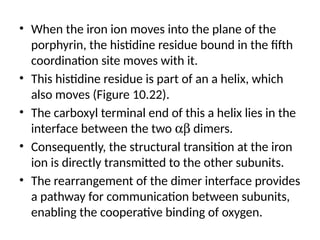 • When the iron ion moves into the plane of the
porphyrin, the histidine residue bound in the fifth
coordination site moves with it.
• This histidine residue is part of an a helix, which
also moves (Figure 10.22).
• The carboxyl terminal end of this a helix lies in the
interface between the two ab dimers.
• Consequently, the structural transition at the iron
ion is directly transmitted to the other subunits.
• The rearrangement of the dimer interface provides
a pathway for communication between subunits,
enabling the cooperative binding of oxygen.
 