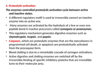 4. Proteolytic activation-
The enzymes controlled proteolytic activation cycle between active
and inactive states.
• A different regulatory motif is used to irreversibly convert an inactive
enzyme into an active one.
• Many enzymes are activated by the hydrolysis of a few or even one
peptide bond in inactive precursors called zymogens or proenzymes.
• This regulatory mechanism generates digestive enzymes such as
chymotrypsin, trypsin, and pepsin.
• Caspases, which are proteolytic enzymes that are the executioners in
programmed cell death, or apoptosis are proteolytically activated
from the procaspase form.
• Blood clotting is due to a remarkable cascade of zymogen activations.
• Active digestive and clotting enzymes are switched off by the
irreversible binding of specific inhibitory proteins that are irresistible
lures to their molecular prey.
 