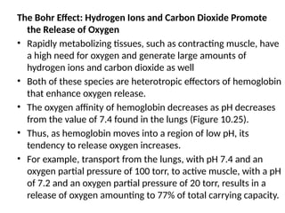 The Bohr Effect: Hydrogen Ions and Carbon Dioxide Promote
the Release of Oxygen
• Rapidly metabolizing tissues, such as contracting muscle, have
a high need for oxygen and generate large amounts of
hydrogen ions and carbon dioxide as well
• Both of these species are heterotropic effectors of hemoglobin
that enhance oxygen release.
• The oxygen affinity of hemoglobin decreases as pH decreases
from the value of 7.4 found in the lungs (Figure 10.25).
• Thus, as hemoglobin moves into a region of low pH, its
tendency to release oxygen increases.
• For example, transport from the lungs, with pH 7.4 and an
oxygen partial pressure of 100 torr, to active muscle, with a pH
of 7.2 and an oxygen partial pressure of 20 torr, results in a
release of oxygen amounting to 77% of total carrying capacity.
 