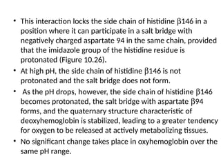 • This interaction locks the side chain of histidine b146 in a
position where it can participate in a salt bridge with
negatively charged aspartate 94 in the same chain, provided
that the imidazole group of the histidine residue is
protonated (Figure 10.26).
• At high pH, the side chain of histidine b146 is not
protonated and the salt bridge does not form.
• As the pH drops, however, the side chain of histidine b146
becomes protonated, the salt bridge with aspartate b94
forms, and the quaternary structure characteristic of
deoxyhemoglobin is stabilized, leading to a greater tendency
for oxygen to be released at actively metabolizing tissues.
• No significant change takes place in oxyhemoglobin over the
same pH range.
 