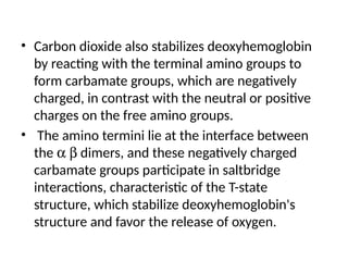 • Carbon dioxide also stabilizes deoxyhemoglobin
by reacting with the terminal amino groups to
form carbamate groups, which are negatively
charged, in contrast with the neutral or positive
charges on the free amino groups.
• The amino termini lie at the interface between
the a b dimers, and these negatively charged
carbamate groups participate in saltbridge
interactions, characteristic of the T-state
structure, which stabilize deoxyhemoglobin's
structure and favor the release of oxygen.
 