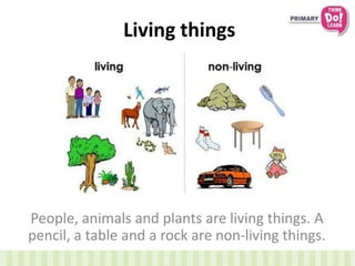 Living things
People, animals and plants are living things. A
pencil, a table and a rock are non-living things.
 