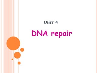 UNIT 4 
DNA repair 
 