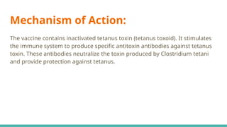 Mechanism of Action:
The vaccine contains inactivated tetanus toxin (tetanus toxoid). It stimulates
the immune system to produce specific antitoxin antibodies against tetanus
toxin. These antibodies neutralize the toxin produced by Clostridium tetani
and provide protection against tetanus.
 