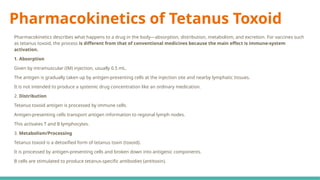 Pharmacokinetics of Tetanus Toxoid
Pharmacokinetics describes what happens to a drug in the body—absorption, distribution, metabolism, and excretion. For vaccines such
as tetanus toxoid, the process is different from that of conventional medicines because the main effect is immune-system
activation.
1. Absorption
Given by intramuscular (IM) injection, usually 0.5 mL.
The antigen is gradually taken up by antigen-presenting cells at the injection site and nearby lymphatic tissues.
It is not intended to produce a systemic drug concentration like an ordinary medication.
2. Distribution
Tetanus toxoid antigen is processed by immune cells.
Antigen-presenting cells transport antigen information to regional lymph nodes.
This activates T and B lymphocytes.
3. Metabolism/Processing
Tetanus toxoid is a detoxified form of tetanus toxin (toxoid).
It is processed by antigen-presenting cells and broken down into antigenic components.
B cells are stimulated to produce tetanus-specific antibodies (antitoxin).
 