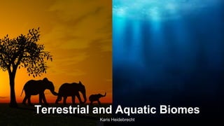 Terrestrial and Aquatic Biomes
Karis Heidebrecht

 