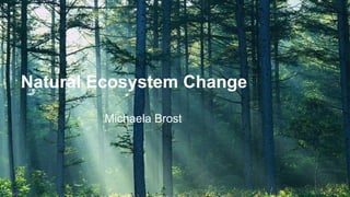Natural Ecosystem Change
Michaela Brost

 