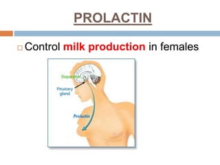 PROLACTIN
 Control milk production in females
 