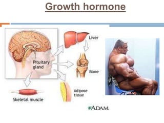 Growth hormone
 