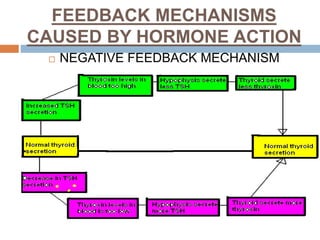 FEEDBACK MECHANISMS
CAUSED BY HORMONE ACTION
 NEGATIVE FEEDBACK MECHANISM
 