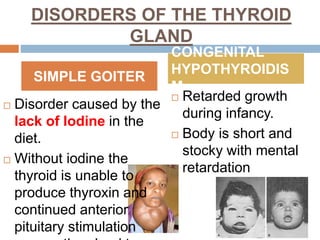 DISORDERS OF THE THYROID
GLAND
 Disorder caused by the
lack of Iodine in the
diet.
 Without iodine the
thyroid is unable to
produce thyroxin and
continued anterior
pituitary stimulation
 Retarded growth
during infancy.
 Body is short and
stocky with mental
retardation
SIMPLE GOITER
CONGENITAL
HYPOTHYROIDIS
M
 