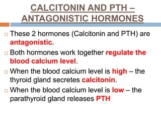 CALCITONIN AND PTH –
ANTAGONISTIC HORMONES
 These 2 hormones (Calcitonin and PTH) are
antagonistic.
 Both hormones work together regulate the
blood calcium level.
 When the blood calcium level is high – the
thyroid gland secretes calcitonin.
 When the blood calcium level is low – the
parathyroid gland releases PTH
 