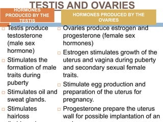 TESTIS AND OVARIES
 Testis produce
testosterone
(male sex
hormone)
 Stimulates the
formation of male
traits during
puberty
 Stimulates oil and
sweat glands.
 Stimulates
hairloss
 Ovaries produce estrogen and
progesterone (female sex
hormones)
 Estrogen stimulates growth of the
uterus and vagina during puberty
and secondary sexual female
traits.
 Stimulate egg production and
preparation of the uterus for
pregnancy.
 Progesterone prepare the uterus
wall for possible implantation of an
HORMONES
PRODUCED BY THE
TESTIS
HORMONES PRODUCED BY THE
OVARIES
 
