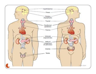 Ayelign M.
5 7/30/2019
 
