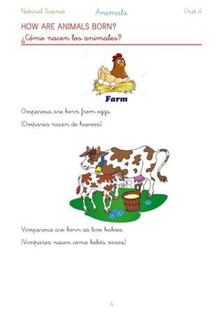 Natural Science Animals Unit 4
HOW ARE ANIMALS BORN? 
¿Cómo nacen los animales?
Oviparous are born from eggs.
(Ovíparos nacen de huevos)
Viviparous are born as live babies.
(Vivíparos nacen como bebés vivos)
!4
 