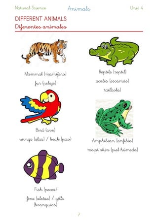 Natural Science Animals Unit 4
DIFFERENT ANIMALS 
Diferentes animales 
Mammal (mamífero)
fur (pelaje)
Bird (ave)
wings (alas) / beak (pico)
Fish (peces)
fins (aletas) / gills
(branquias)
Reptile (reptil)
scales (escamas)
tail(cola)
Amphibian (anfibio)
moist skin (piel húmeda)
!7
 