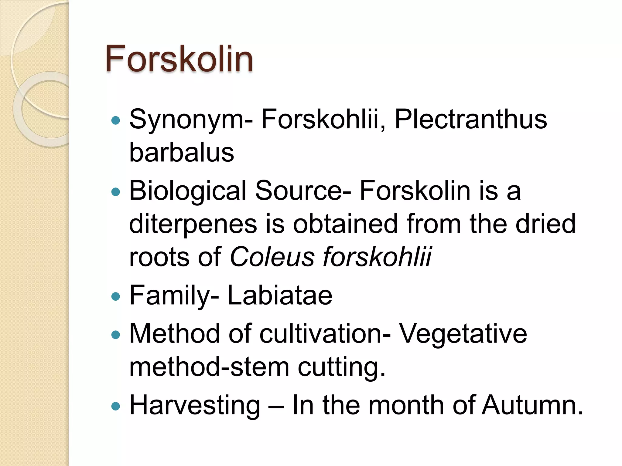 Forskolin
 Synonym- Forskohlii, Plectranthus
barbalus
 Biological Source- Forskolin is a
diterpenes is obtained from the dried
roots of Coleus forskohlii
 Family- Labiatae
 Method of cultivation- Vegetative
method-stem cutting.
 Harvesting – In the month of Autumn.
 