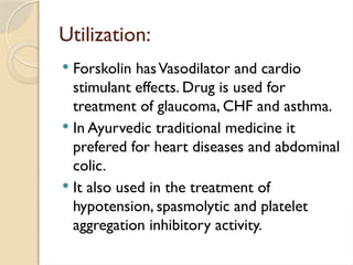 Utilization:
 Forskolin hasVasodilator and cardio
stimulant effects. Drug is used for
treatment of glaucoma, CHF and asthma.
 In Ayurvedic traditional medicine it
prefered for heart diseases and abdominal
colic.
 It also used in the treatment of
hypotension, spasmolytic and platelet
aggregation inhibitory activity.
 